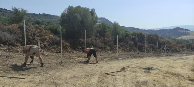 Constructions Image 14